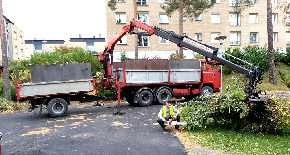 TREFELLING BESKJ RING LAV PRIS Raskt Og Effektivt Oslo B rum Asker